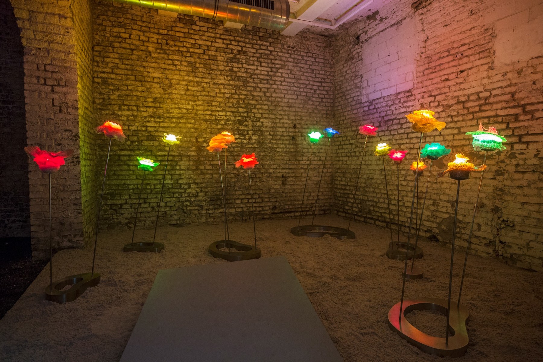 elysium, overall view with sand-covered floor, walkway and light flowers